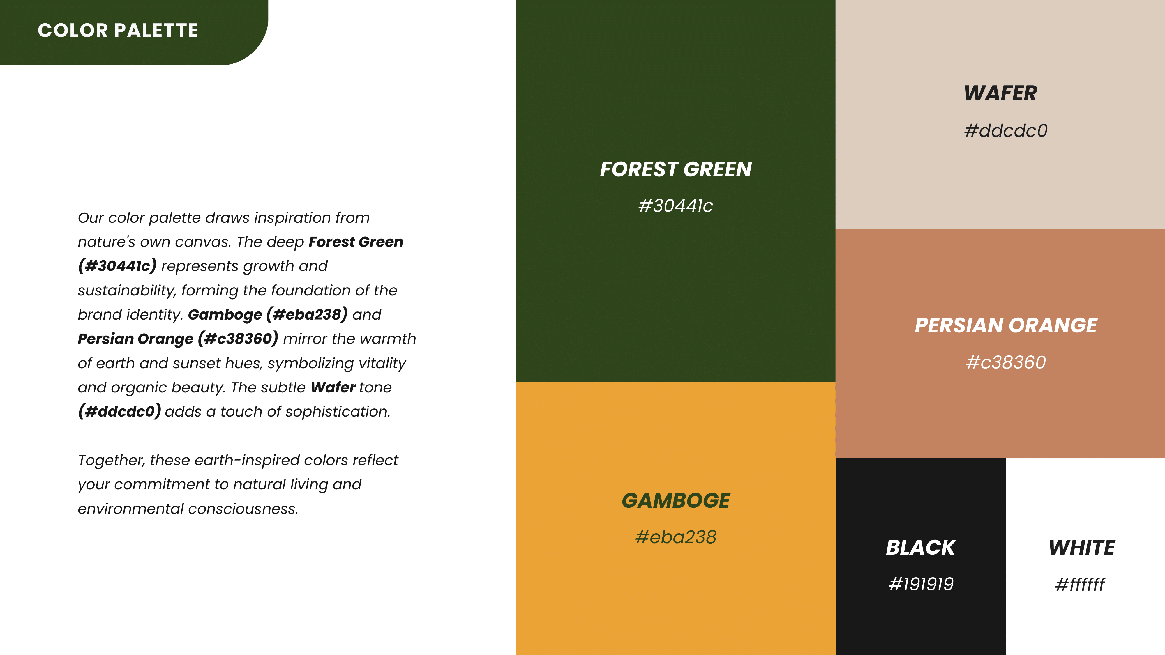 Eccentric Earth Brand Guidelines - Page 10